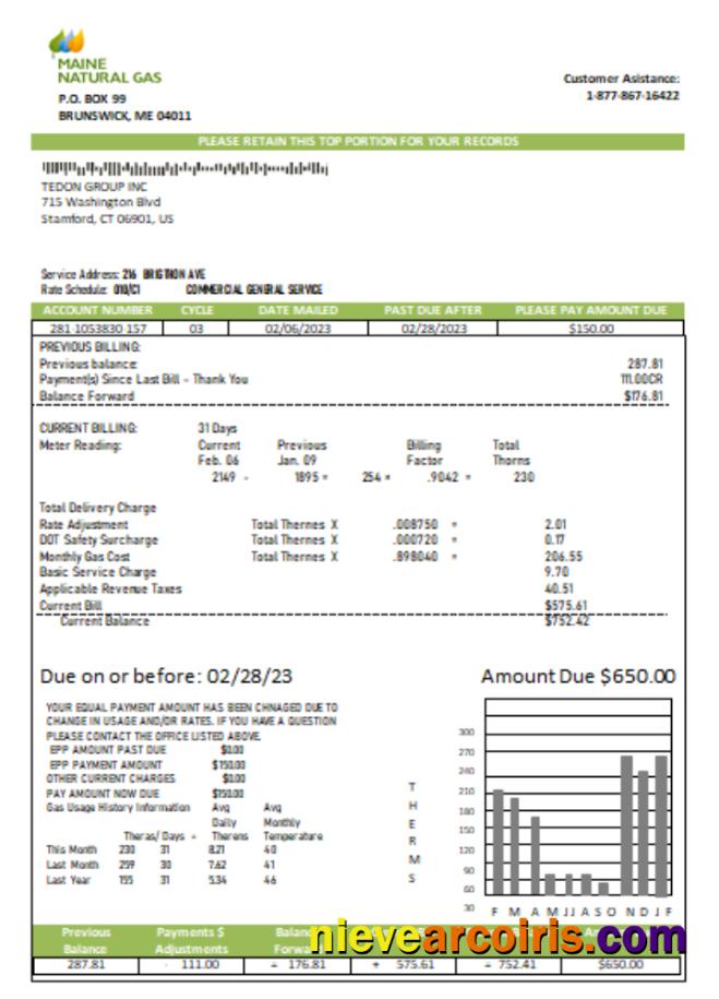 Maine Natural Gas Portland utility business bill